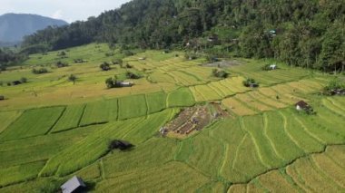 Bali, Endonezya - 11 Kasım 2022: Bali 'nin Turistik Çekim ve Yerleşkeleri
