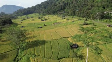 Bali, Endonezya - 11 Kasım 2022: Bali 'nin Turistik Çekim ve Yerleşkeleri