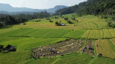 Bali, Endonezya - 11 Kasım 2022: Bali 'nin Turistik Çekim ve Yerleşkeleri