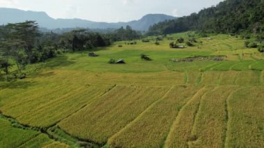 Bali, Endonezya - 11 Kasım 2022: Bali 'nin Turistik Çekim ve Yerleşkeleri
