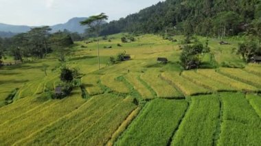 Bali, Endonezya - 11 Kasım 2022: Bali 'nin Turistik Çekim ve Yerleşkeleri