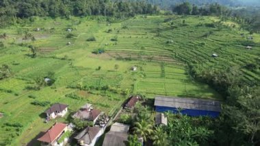 Bali, Endonezya - 11 Kasım 2022: Bali 'nin Turistik Çekim ve Yerleşkeleri