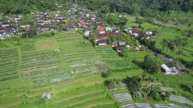 Bali, Endonezya - 11 Kasım 2022: Bali 'nin Turistik Çekim ve Yerleşkeleri