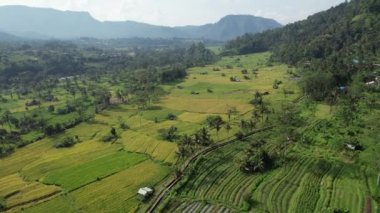 Bali, Endonezya - 11 Kasım 2022: Bali 'nin Turistik Çekim ve Yerleşkeleri