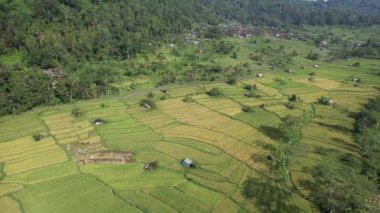 Bali, Endonezya - 11 Kasım 2022: Bali 'nin Turistik Çekim ve Yerleşkeleri