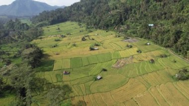 Bali, Endonezya - 11 Kasım 2022: Bali 'nin Turistik Çekim ve Yerleşkeleri