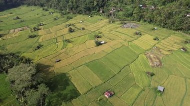 Bali, Endonezya - 11 Kasım 2022: Bali 'nin Turistik Çekim ve Yerleşkeleri
