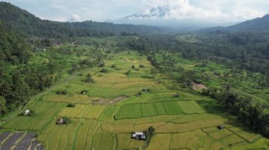 Bali, Endonezya - 11 Kasım 2022: Bali 'nin Turistik Çekim ve Yerleşkeleri