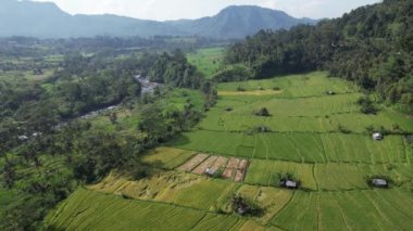Bali, Endonezya - 11 Kasım 2022: Bali 'nin Turistik Çekim ve Yerleşkeleri