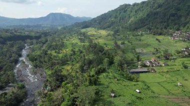 Bali, Endonezya - 11 Kasım 2022: Bali 'nin Turistik Çekim ve Yerleşkeleri