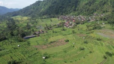 Bali, Endonezya - 11 Kasım 2022: Bali 'nin Turistik Çekim ve Yerleşkeleri