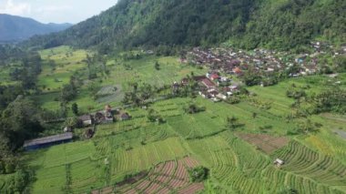 Bali, Endonezya - 11 Kasım 2022: Bali 'nin Turistik Çekim ve Yerleşkeleri