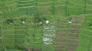 Bali, Endonezya - 11 Kasım 2022: Bali 'nin Turistik Çekim ve Yerleşkeleri