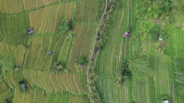 Bali, Endonezya - 11 Kasım 2022: Bali 'nin Turistik Çekim ve Yerleşkeleri