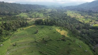 Bali, Endonezya - 11 Kasım 2022: Bali 'nin Turistik Çekim ve Yerleşkeleri