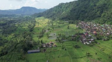 Bali, Endonezya - 11 Kasım 2022: Bali 'nin Turistik Çekim ve Yerleşkeleri