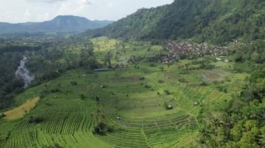 Bali, Endonezya - 11 Kasım 2022: Bali 'nin Turistik Çekim ve Yerleşkeleri