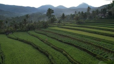 Bali, Endonezya - 11 Kasım 2022: Bali 'nin Turistik Çekim ve Yerleşkeleri