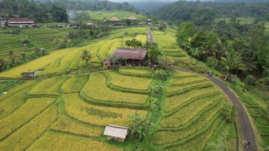 Bali, Endonezya - 11 Kasım 2022: Bali 'nin Turistik Çekim ve Yerleşkeleri