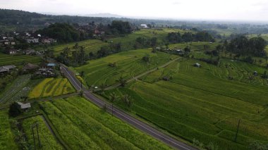 Bali, Endonezya - 11 Kasım 2022: Bali 'nin Turistik Çekim ve Yerleşkeleri