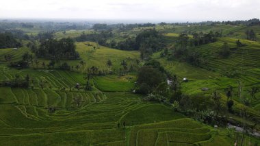 Bali, Endonezya - 11 Kasım 2022: Bali 'nin Turistik Çekim ve Yerleşkeleri