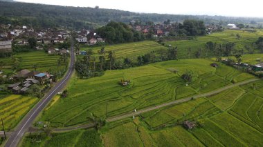 Bali, Endonezya - 11 Kasım 2022: Bali 'nin Turistik Çekim ve Yerleşkeleri