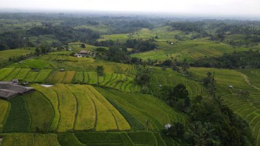 Bali, Endonezya - 11 Kasım 2022: Bali 'nin Turistik Çekim ve Yerleşkeleri