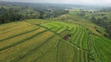 Bali, Endonezya - 11 Kasım 2022: Bali 'nin Turistik Çekim ve Yerleşkeleri