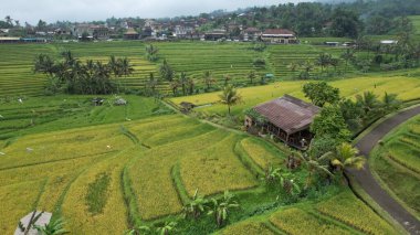 Bali, Endonezya - 11 Kasım 2022: Bali 'nin Turistik Çekim ve Yerleşkeleri