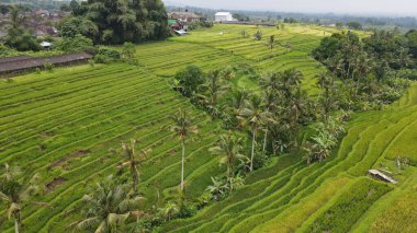 Bali, Endonezya - 11 Kasım 2022: Bali 'nin Turistik Çekim ve Yerleşkeleri