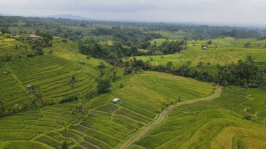 Bali, Endonezya - 11 Kasım 2022: Bali 'nin Turistik Çekim ve Yerleşkeleri