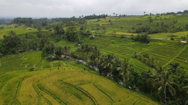 Bali, Endonezya - 11 Kasım 2022: Bali 'nin Turistik Çekim ve Yerleşkeleri