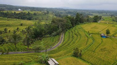 Bali, Endonezya - 11 Kasım 2022: Bali 'nin Turistik Çekim ve Yerleşkeleri