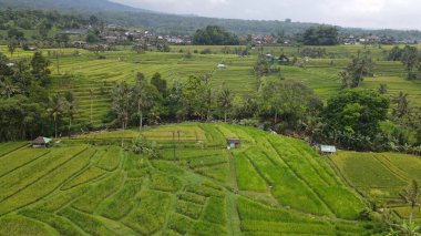 Bali, Endonezya - 11 Kasım 2022: Bali 'nin Turistik Çekim ve Yerleşkeleri