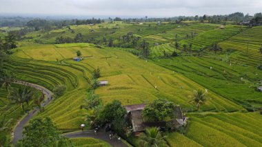 Bali, Endonezya - 11 Kasım 2022: Bali 'nin Turistik Çekim ve Yerleşkeleri