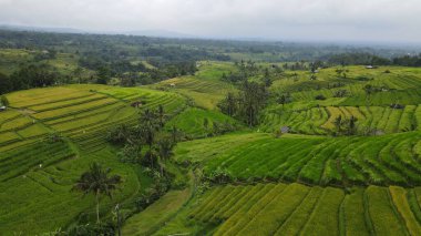 Bali, Endonezya - 11 Kasım 2022: Bali 'nin Turistik Çekim ve Yerleşkeleri