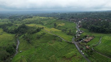 Bali, Endonezya - 11 Kasım 2022: Bali 'nin Turistik Çekim ve Yerleşkeleri
