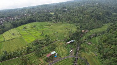 Bali, Endonezya - 11 Kasım 2022: Bali 'nin Turistik Çekim ve Yerleşkeleri