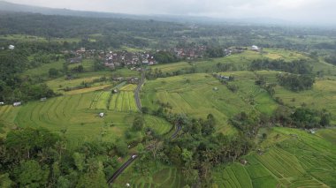 Bali, Endonezya - 11 Kasım 2022: Bali 'nin Turistik Çekim ve Yerleşkeleri