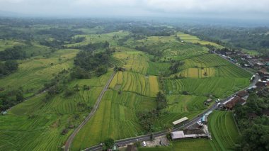 Bali, Endonezya - 11 Kasım 2022: Bali 'nin Turistik Çekim ve Yerleşkeleri