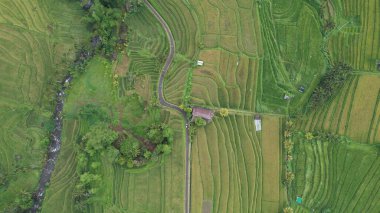 Bali, Endonezya - 11 Kasım 2022: Bali 'nin Turistik Çekim ve Yerleşkeleri