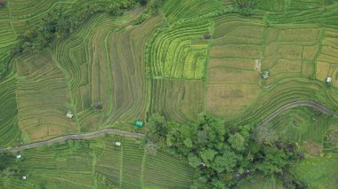 Bali, Endonezya - 11 Kasım 2022: Bali 'nin Turistik Çekim ve Yerleşkeleri