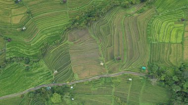 Bali, Endonezya - 11 Kasım 2022: Bali 'nin Turistik Çekim ve Yerleşkeleri