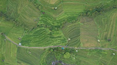 Bali, Endonezya - 11 Kasım 2022: Bali 'nin Turistik Çekim ve Yerleşkeleri