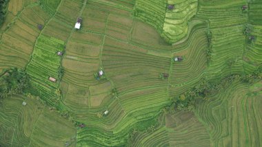 Bali, Endonezya - 11 Kasım 2022: Bali 'nin Turistik Çekim ve Yerleşkeleri