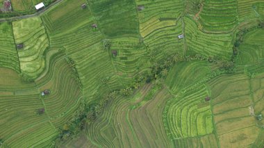 Bali, Endonezya - 11 Kasım 2022: Bali 'nin Turistik Çekim ve Yerleşkeleri