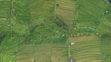 Bali, Endonezya - 11 Kasım 2022: Bali 'nin Turistik Çekim ve Yerleşkeleri