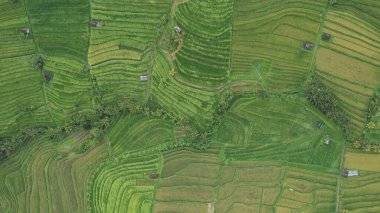 Bali, Endonezya - 11 Kasım 2022: Bali 'nin Turistik Çekim ve Yerleşkeleri