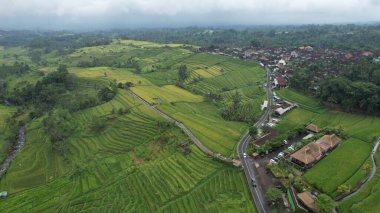 Bali, Endonezya - 11 Kasım 2022: Bali 'nin Turistik Çekim ve Yerleşkeleri