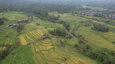 Bali, Endonezya - 11 Kasım 2022: Bali 'nin Turistik Çekim ve Yerleşkeleri